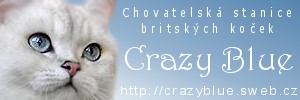 www.crazyblue.cz