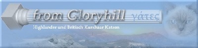 www.fromgloryhill.de