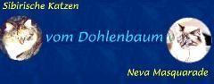 www.vom-dohlenbaum.de